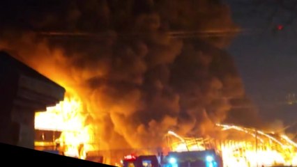 광명 비닐하우스 3개 동 불타...다친 사람 없어 / YTN