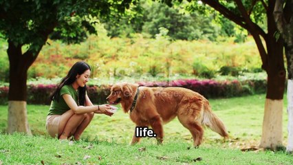 What If Your Dog Could Talk 🐶