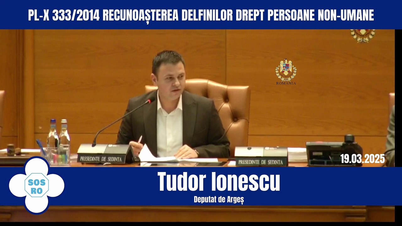 Proiectul de Lege inițiat de Remus Cernea de recunoaștere a delfinilor ca persoane non umane