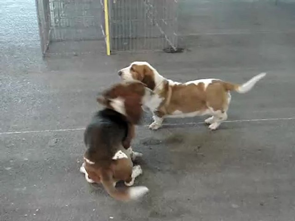 en grande discussion