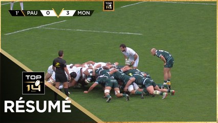 TOP 14 Saison 2024-2025 J19 - Résumé Section Paloise - Montpellier Hérault Rugby