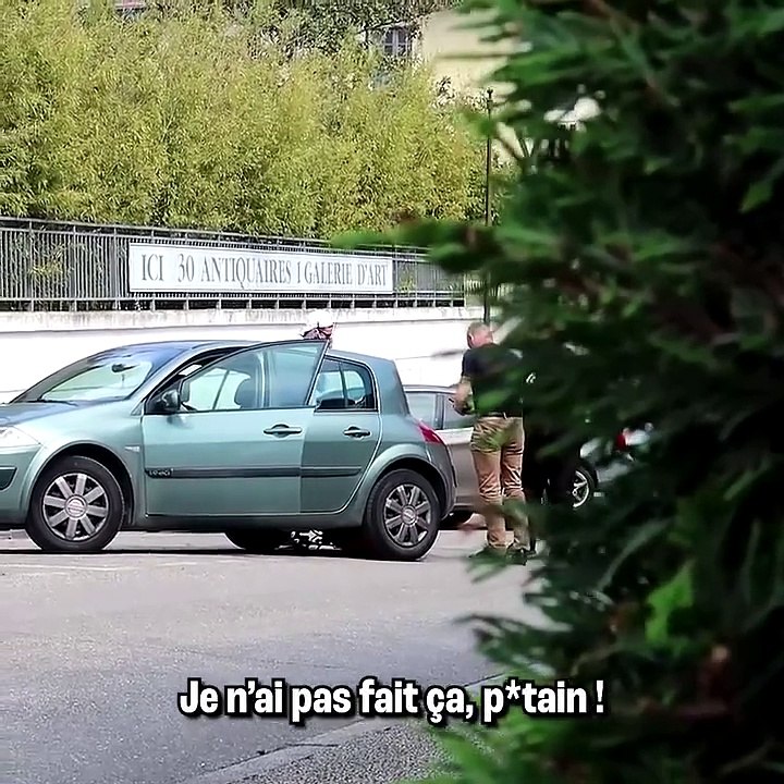 Renverser un bébé en voiture (expérience sociale)