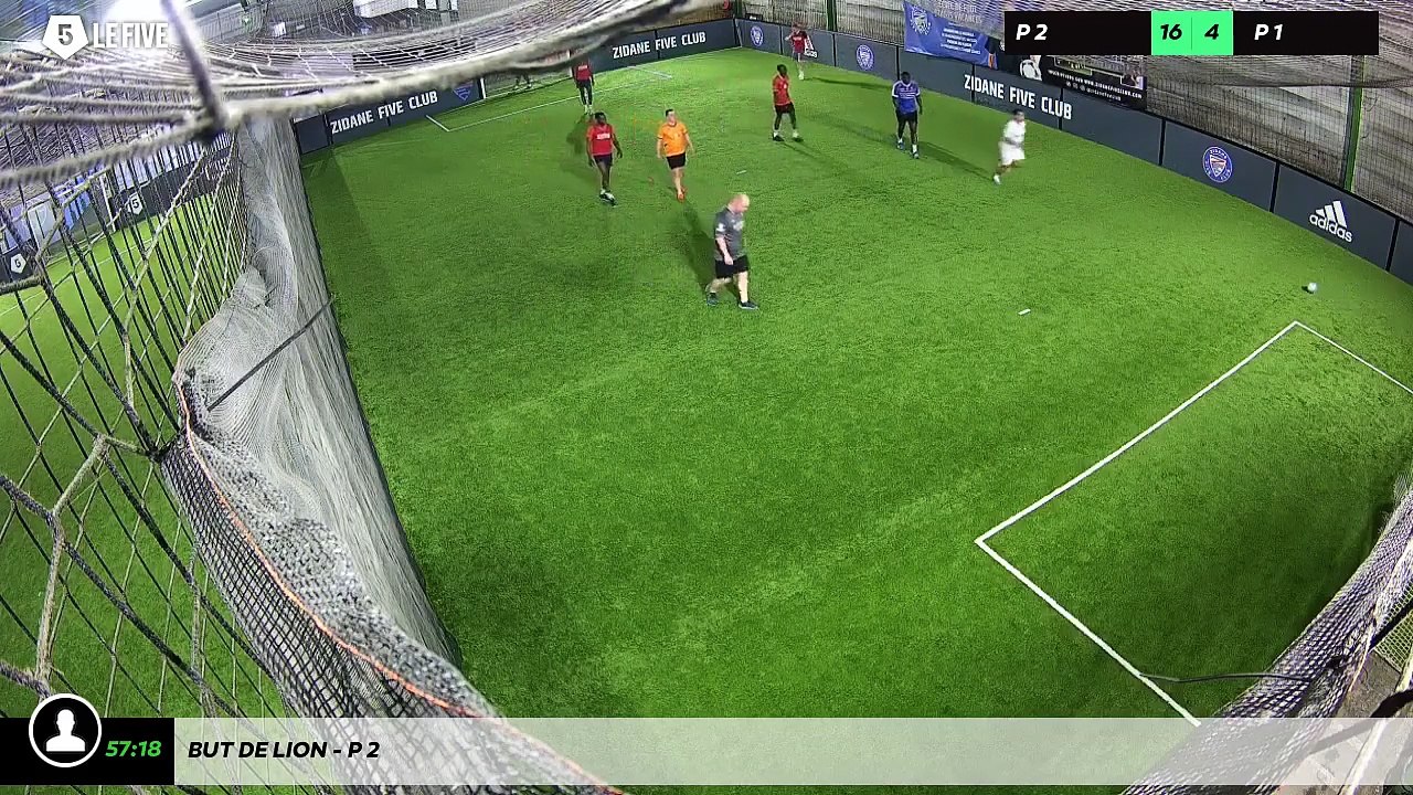 But de Lion - p 2