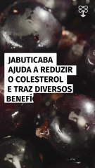 Jabuticaba ajuda a reduzir o colesterol ruim e traz diversos benefícios à saúde