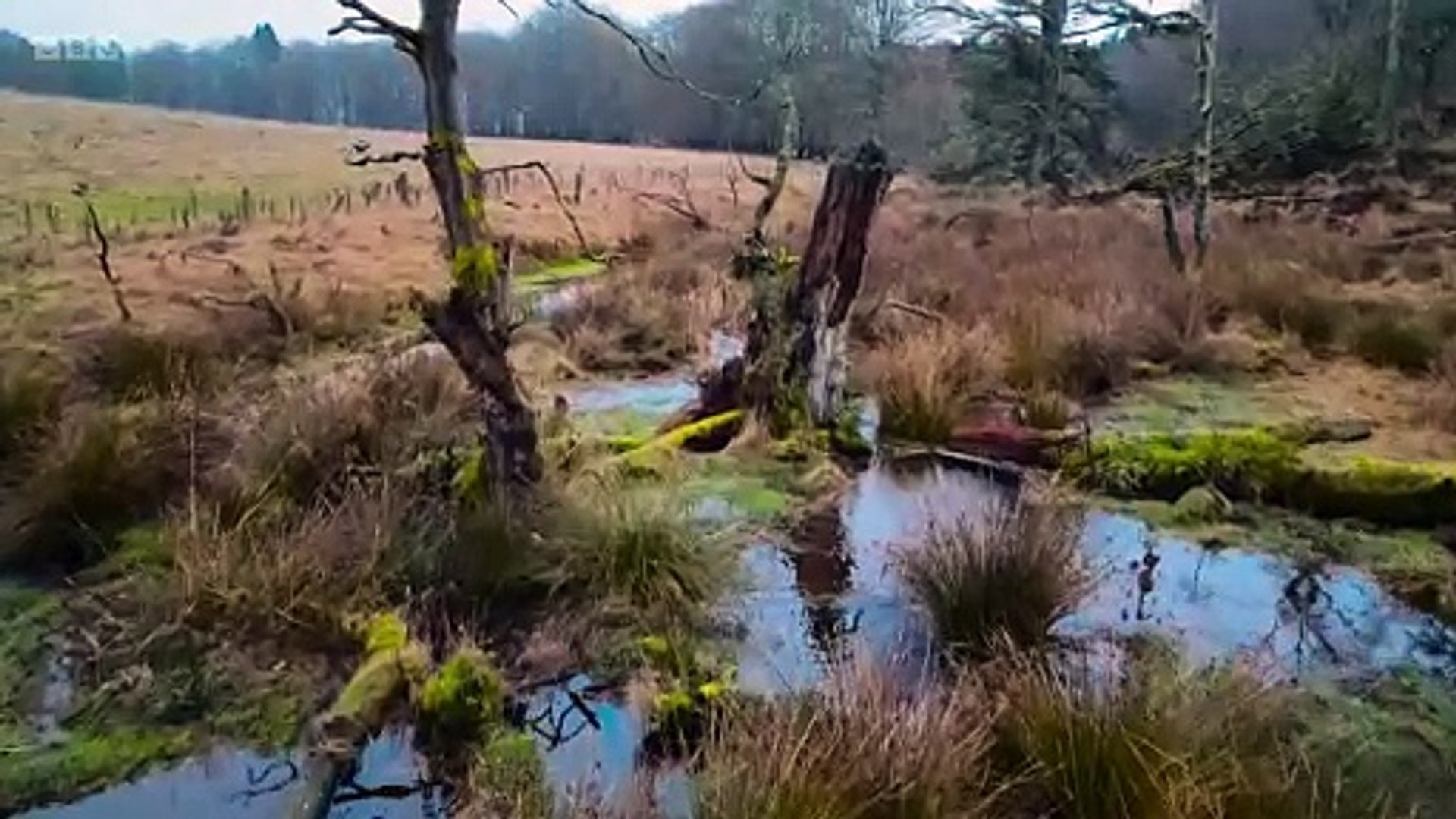 ⁣Countryfile - River Otter Return