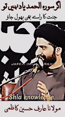 Molana Arif kazmi Allama Irfan Haider official