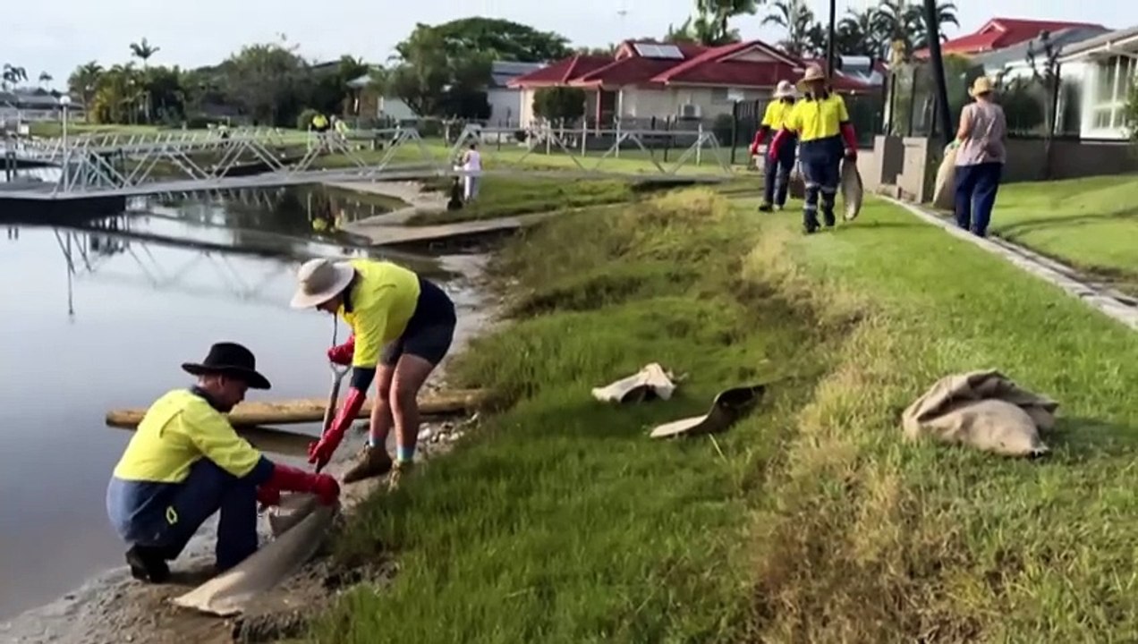Mass fish kill in NSW Northern Rivers following Tropical Cyclone Alfred