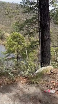 Cierre en Carretera a Cola de Caballo en Santiago Nuevo León tras accidente e incendio forestal