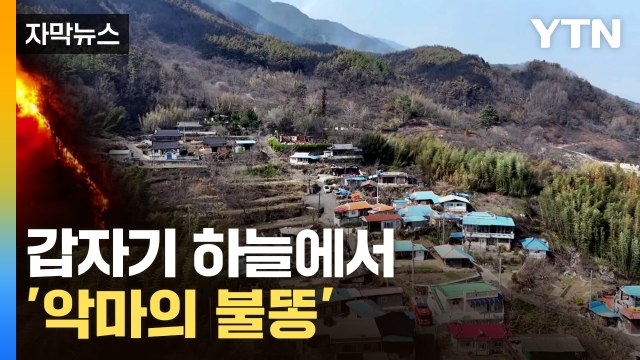 [자막뉴스] 이쪽저쪽 갑자기 튀어나와 ...쑥대밭 된 마을 / YTN