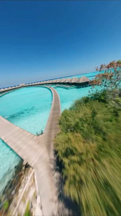 E1S1: Silent But Deadly!   Explore the blue-ringed octopus—a tiny marvel with deadly venom! See its dazzling colors and hidden power in this short dive into ocean wonders.