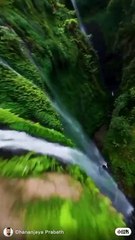 Rainfall in the Jungle: Soothing Nature Sounds for Relaxation