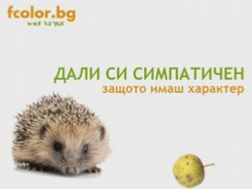 FColor Video WebZaTeb-2