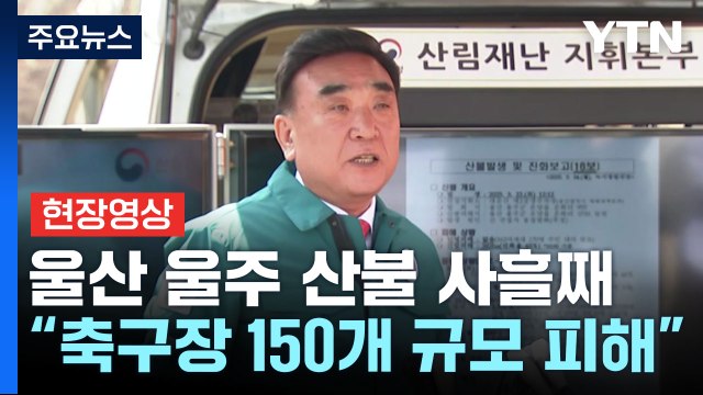 [현장영상+] 울산 시장 피해 면적 382ha...축구장 150개 규모 피해 / YTN