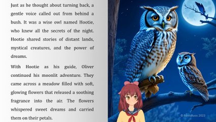 The Dreamy Moon Adventure