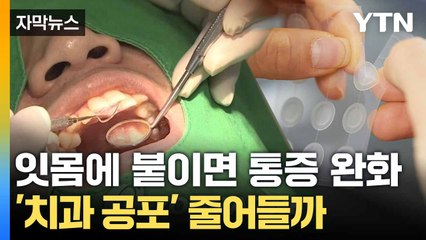 [자막뉴스] '바늘 60개' 달린 패치... 잇몸에 붙이자 놀라운 효능 / YTN