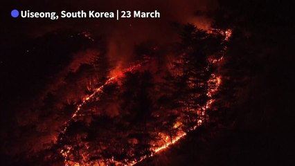 Aerial images of South Korea's deadly wildfire