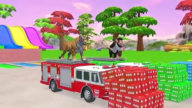 5 Giant Duck Cartoon,Cow,Elephant,Tiger,Lion,Dinosaur,Paint Wild Animals Crossing Fountain Animation