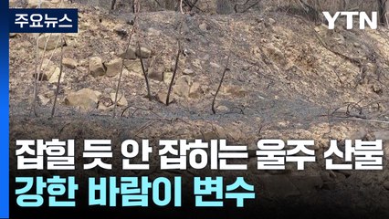 잡힐 듯 안 잡히는 울주 산불...강한 바람이 변수 / YTN