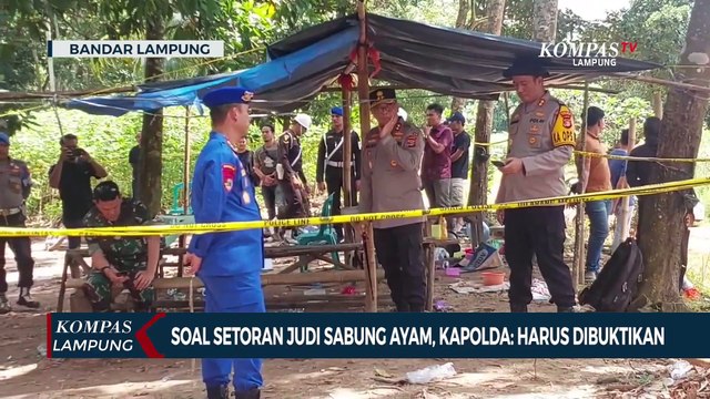 Soal Setoran Judi Sabung Ayam, Kapolda Lampung: Harus Dibuktikan
