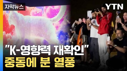 [자막뉴스] "K-문화 팬이 많아요!"...또 와달라 요청 / YTN