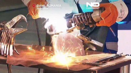 Un saldatore romeno trasforma i metalli di scarto in straordinarie opere d'arte