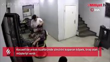 Zincirini koparan köpek kuaförde müşteriyi ısırdı