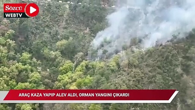İçine 12 kişi bulunan araç kaza yapıp alev aldı, orman yangını çıkardı