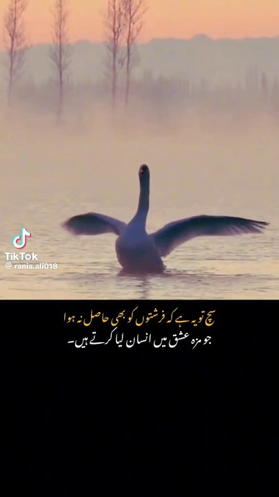 Ishq e elahi_ khuda ki rhmat_apne rab ki trf safar_razya e elahi