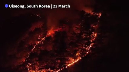 Aerial images of South Korea's deadly wildfires