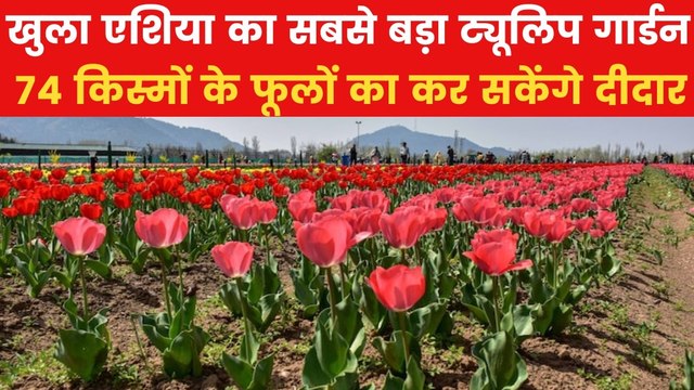 Tulip Garden: पर्यटकों के लिए खुला एशिया का सबसे बड़ा ट्यूलिप गार्डन, देखें VIDEO