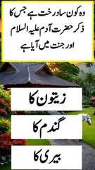 Islamic quick answer and jawab