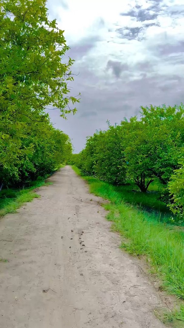 ⁣Capturing the Soul of Village  Larkana ❤ #maxrecords #vlog #travel