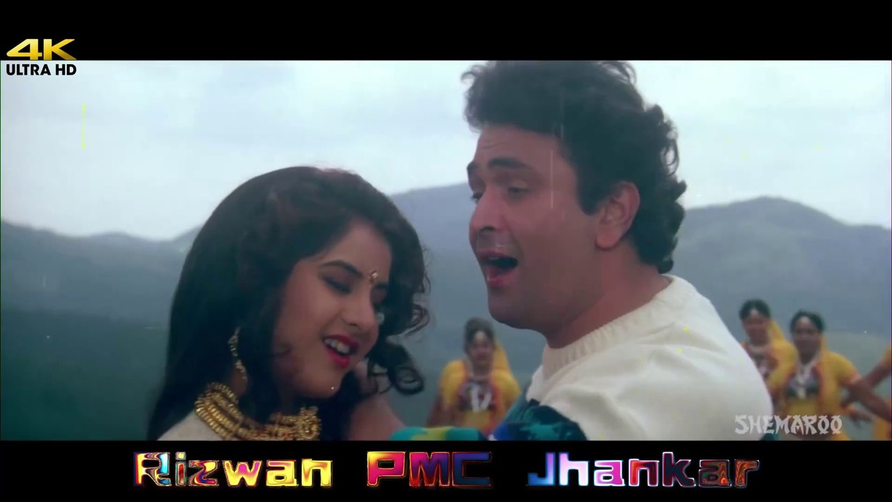 Payaliya Ho Ho HO | Kumar Sanu|Jhankar | Alka Yagnik | Rishi Kapoor | Divya Bharti | Romantic song