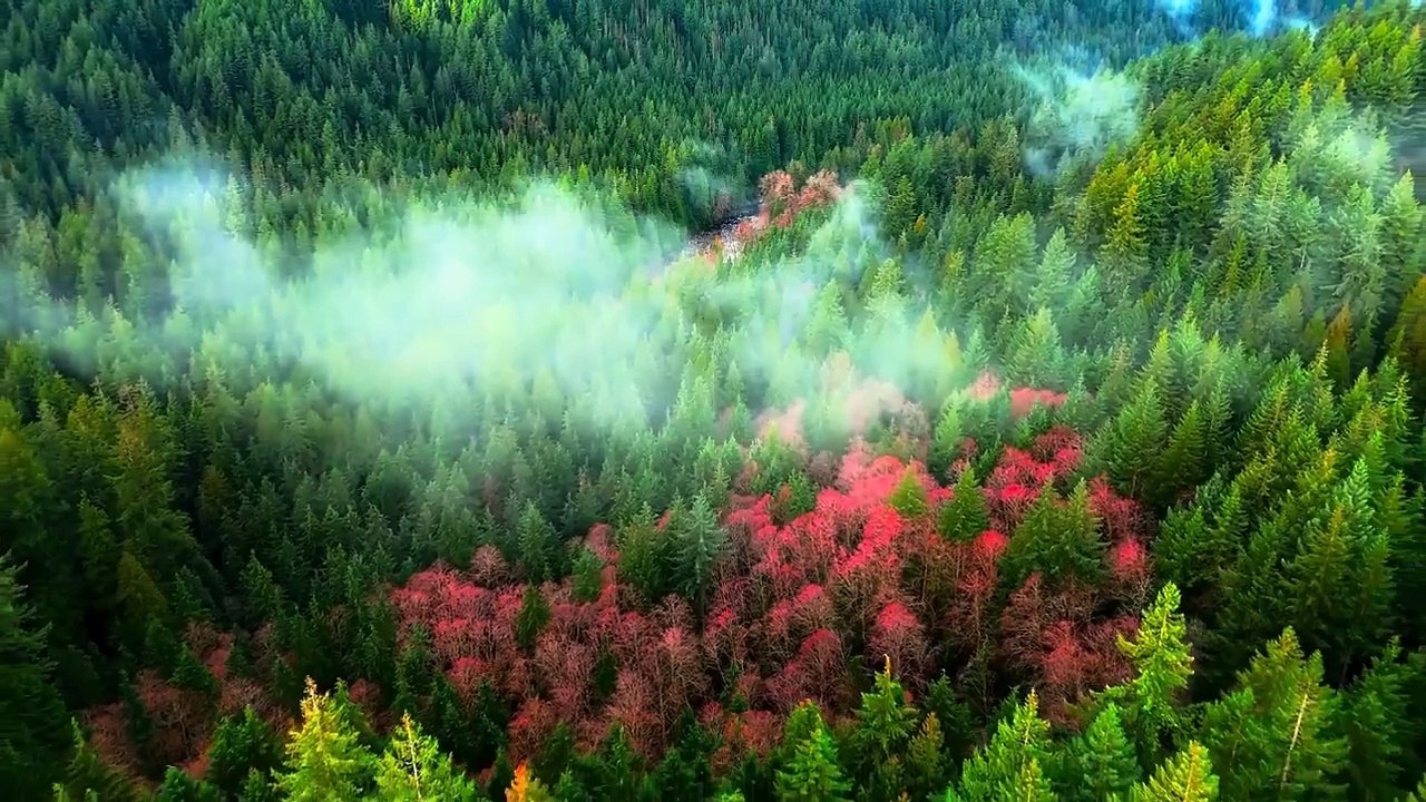 'Hidden Paradises 🌍✨- The Most Beautiful Places You Never Knew Existed! 🌿🌊 - Relaxing Music 🎶' #hope