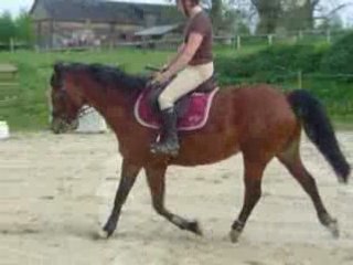 C 05.08 prana et capu trot2