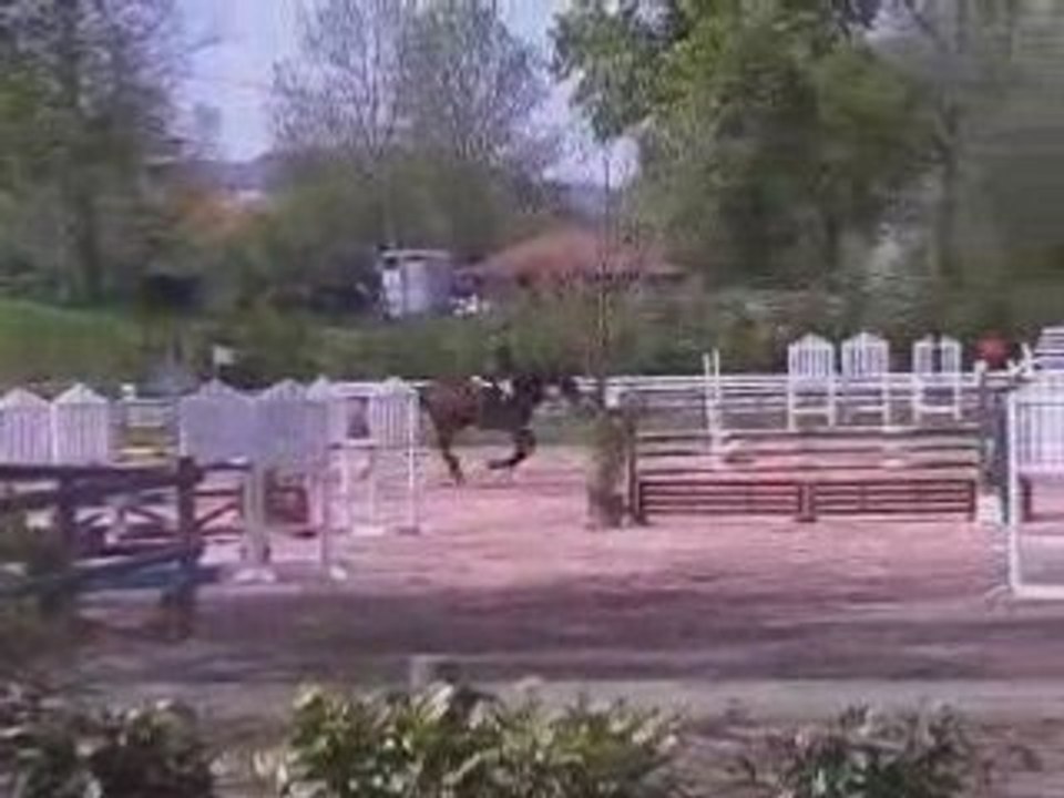 Laizé mai 2008 modif