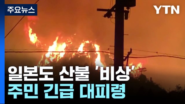 일본도 대형 산불 확산 비상...주민 긴급 대피령 / YTN
