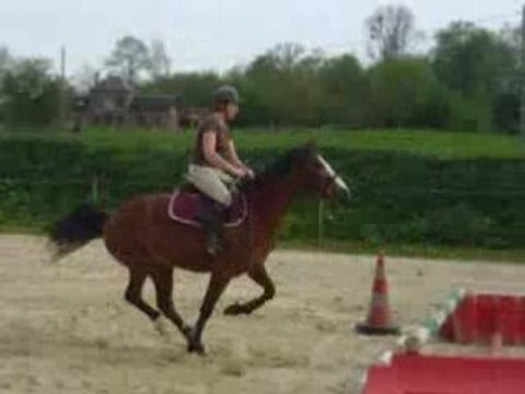 C 05.08 prana et capu vertical