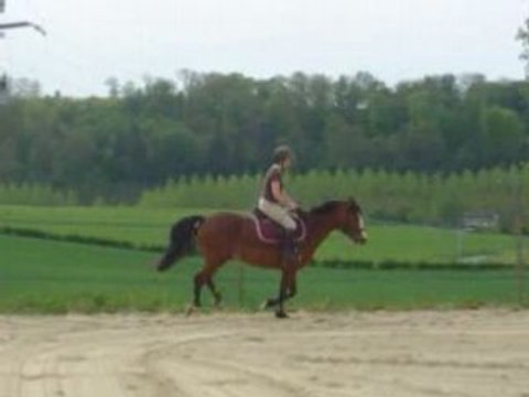 C 05.08 prana et capu galop