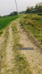 আপনাকে সাহায্য করা হবে যদি আপনি বৈধ