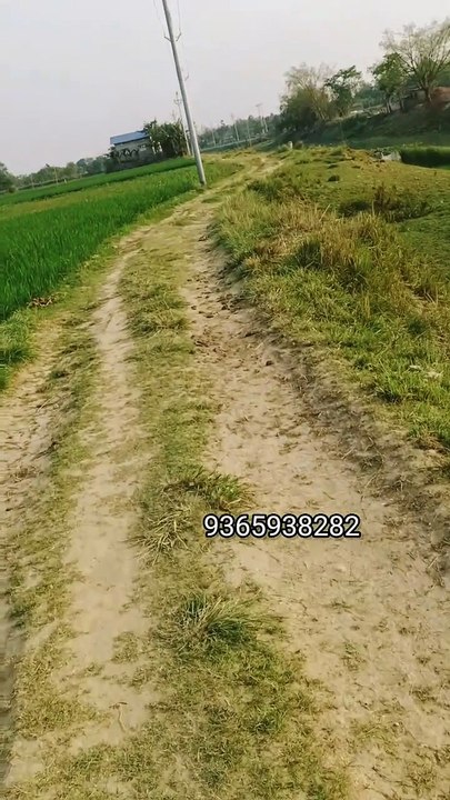 আপনাকে সাহায্য করা হবে যদি আপনি বৈধ