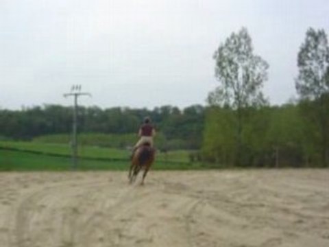 C 05.08 prana et capu vertical2