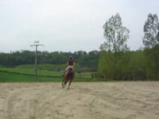 C 05.08 prana et capu vertical2