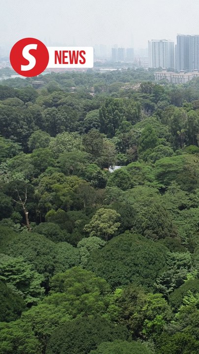 Govt initiates prey animal repopulation to mitigate human-wildlife conflicts