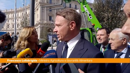 Lollobrigida "Tutto sembra tranne che Governo sia in crisi"