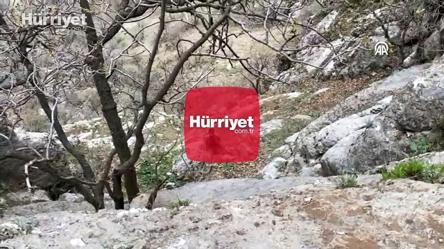 Terör örgütü PKK/YPG mensubunun teslim olma görüntüleri ortaya çıktı