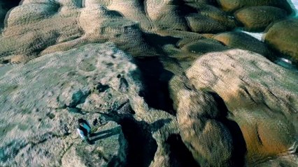 Güler Duman - Sazım