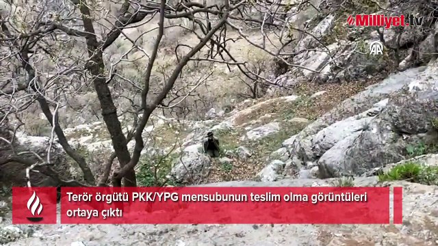 Terör örgütü PKK/YPG mensubunun teslim olma görüntüleri ortaya çıktı