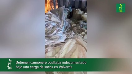 Detienen camionero ocultaba indocumentado bajo una carga de sacos en Valverde