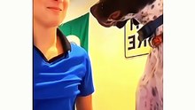 Try not to laugh 😂😂